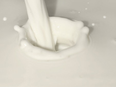 Dairy Products